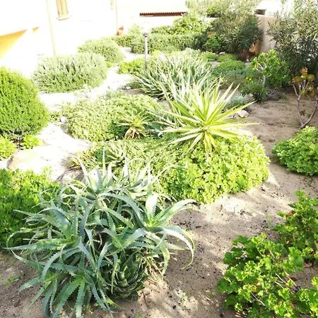 Gardenhouse Apartment